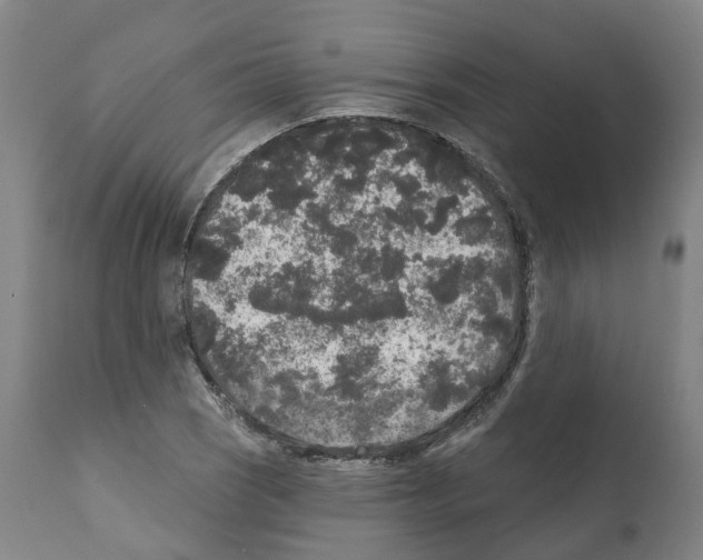 X0000112361121200909241119
