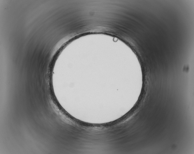 X0000112361122200909241119