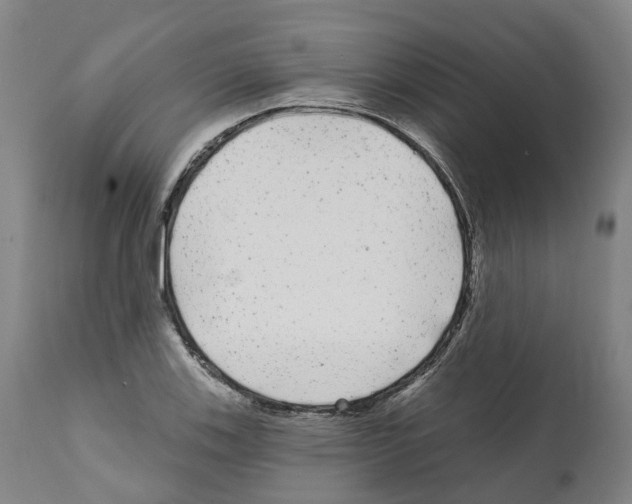 X0000112361123200909241119