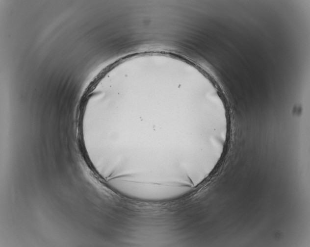 X0000112361124200909241120