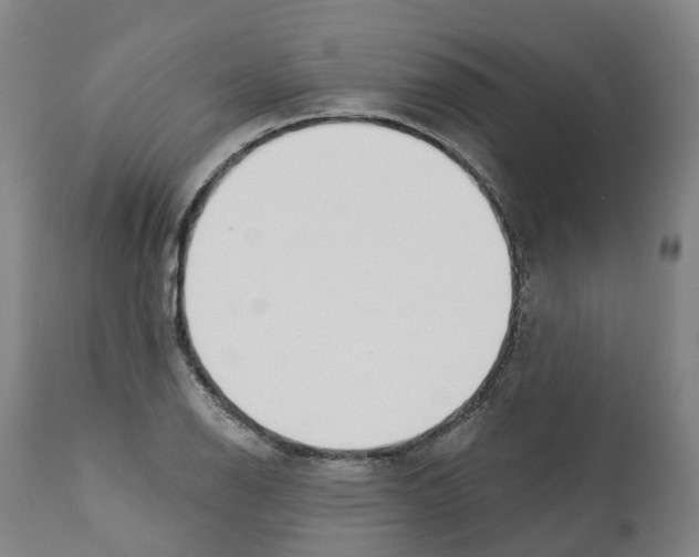 X0000112361126200909241120