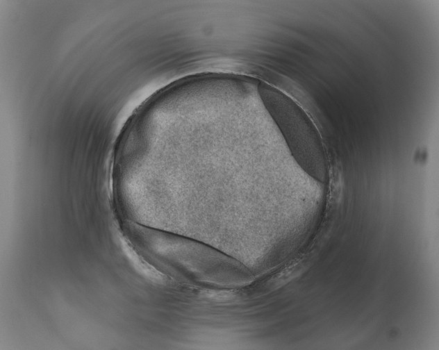 X0000112361128200909241120