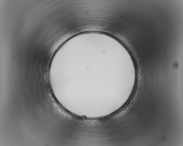 X0000112361129200909241120