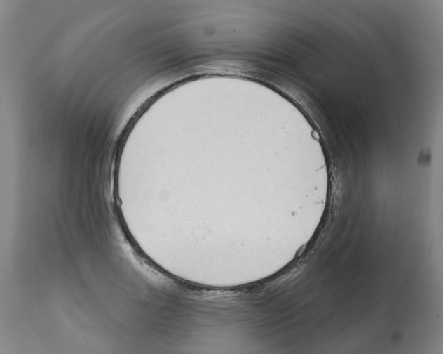 X0000112361131200909241120