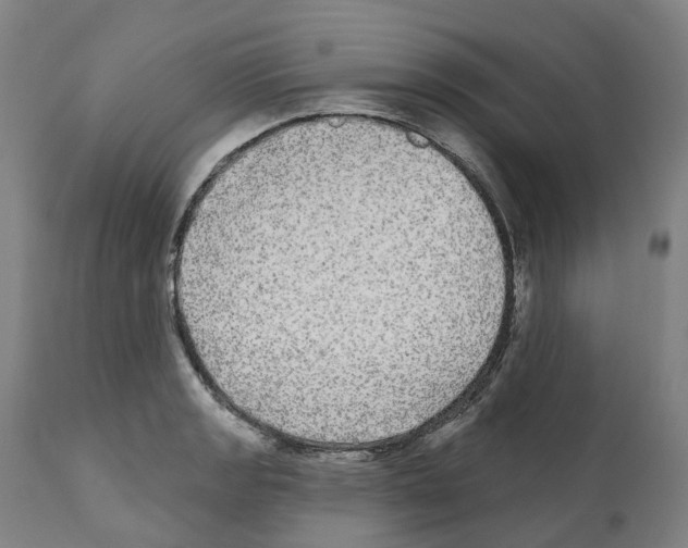 X0000112361133200909241120