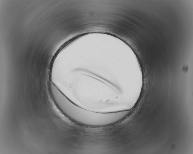 X0000112361134200909241120