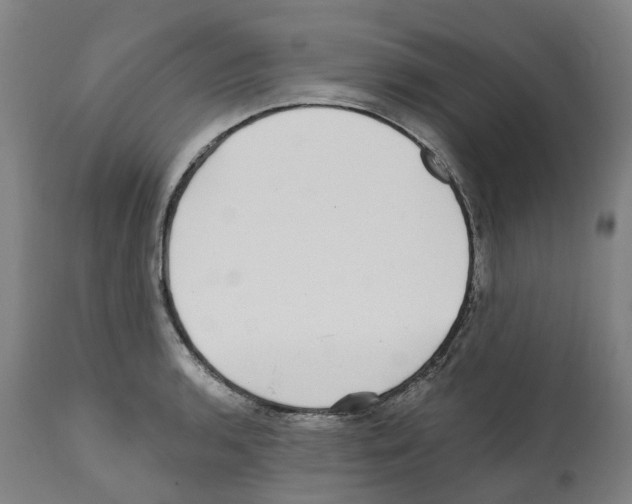 X0000112361136200909241120
