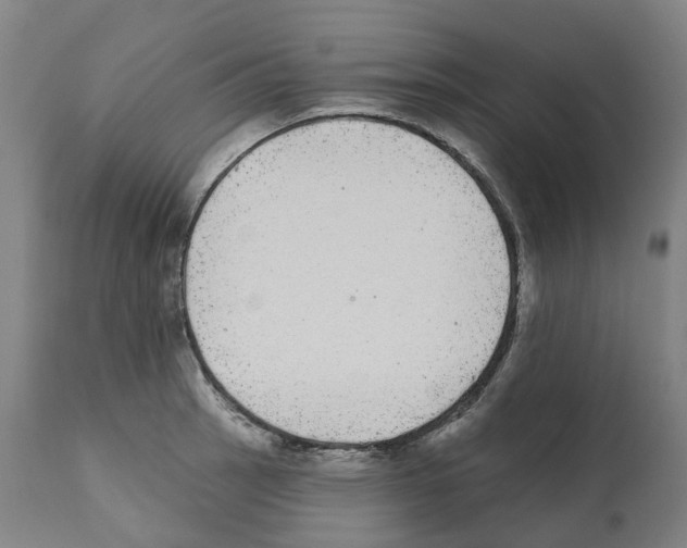 X0000112361137200909241120