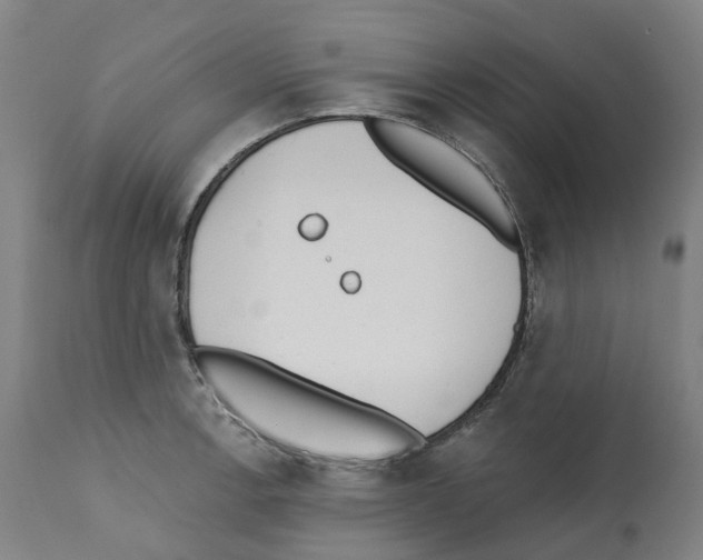 X0000112361138200909241120