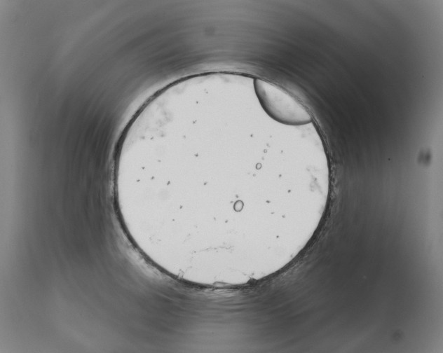 X0000112361140200909241120
