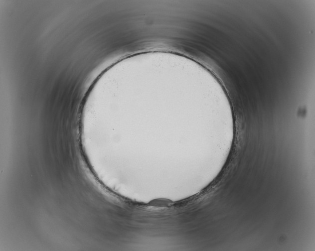 X0000112361142200909241120