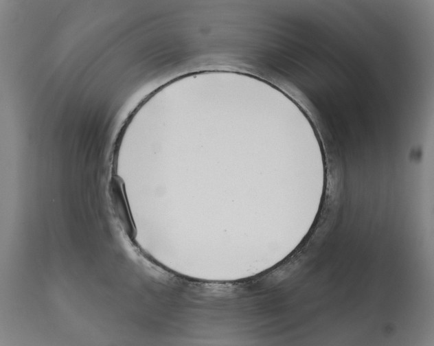 X0000112361144200909241120