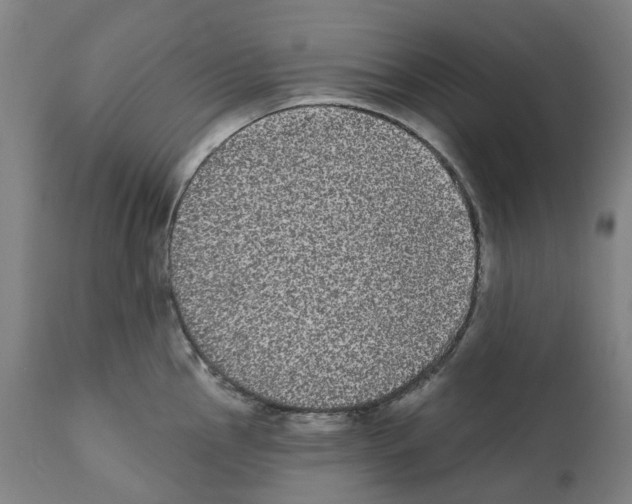 X0000112361145200909241120