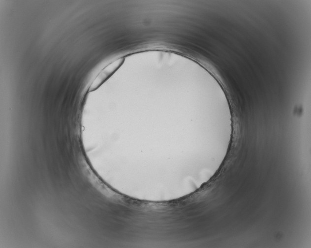 X0000112361148200909241120