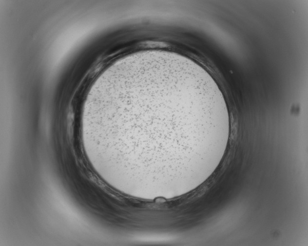 X0000112361151200909241120