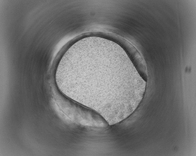 X0000112361152200909241120