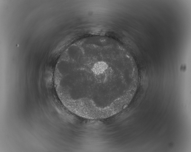 X0000112361154200909241119