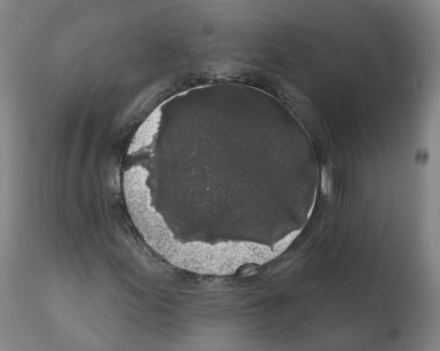 X0000112361155200909241119