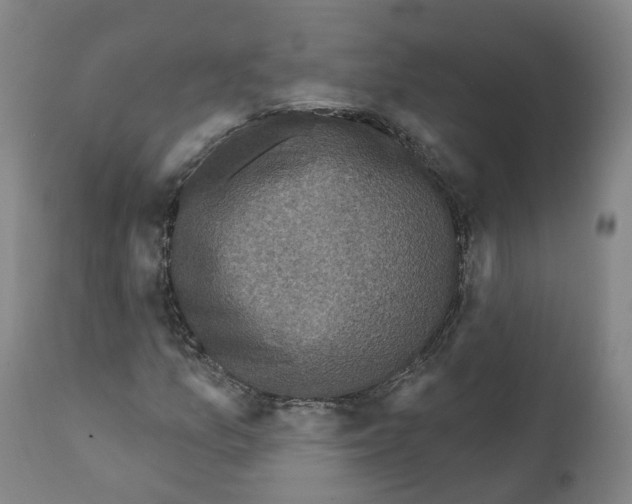 X0000112361157200909241119