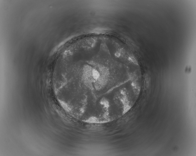 X0000112361158200909241119