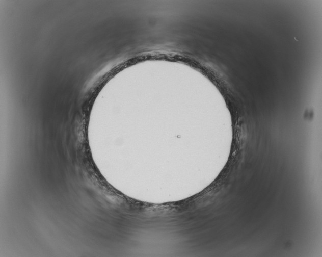 X0000112361159200909241119