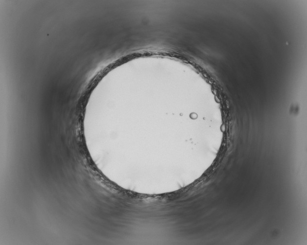 X0000112361160200909241119