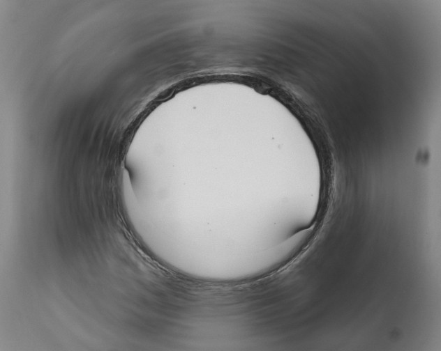 X0000112361161200909241119