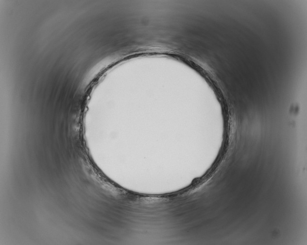 X0000112361163200909241119