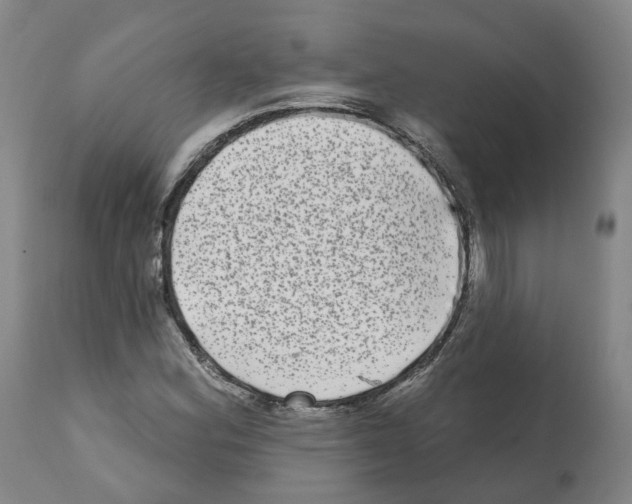 X0000112361164200909241119