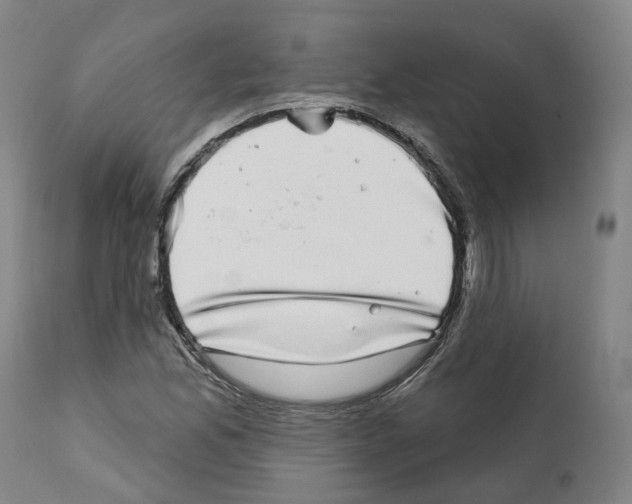 X0000112361165200909241119