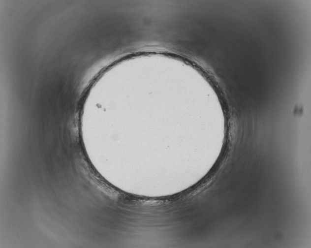 X0000112361167200909241119