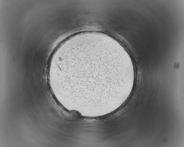 X0000112361168200909241119