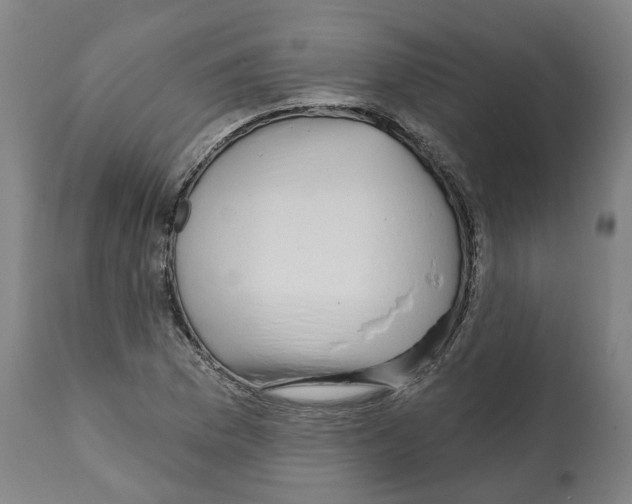 X0000112361169200909241119
