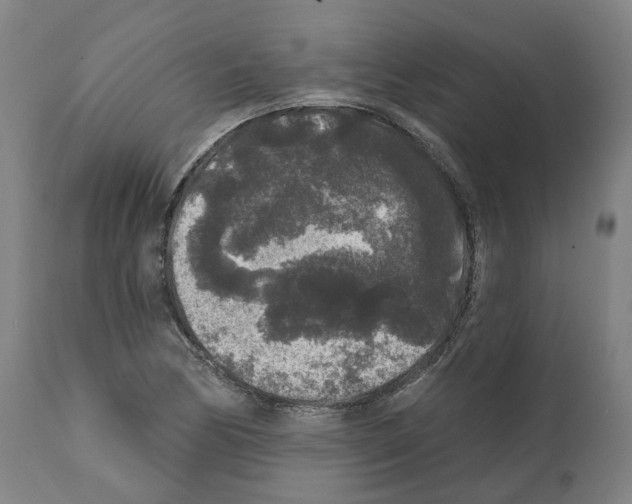 X0000112361170200909241119
