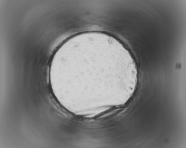 X0000112361171200909241119
