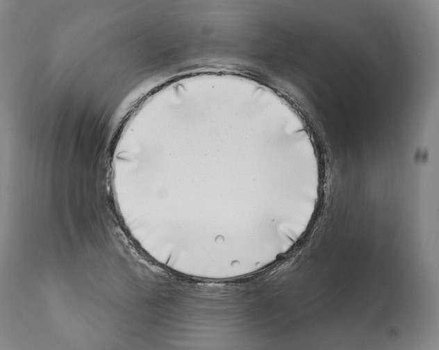 X0000112361172200909241119