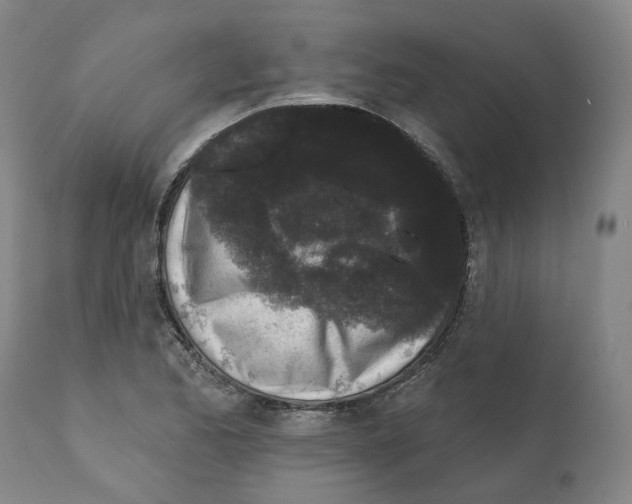 X0000112361173200909241119