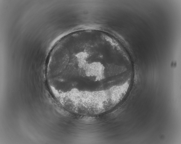 X0000112361174200909241119