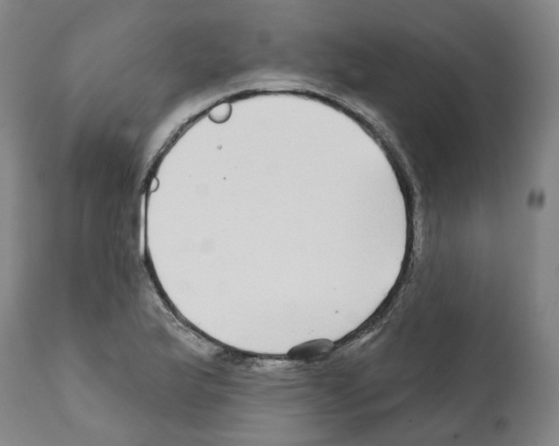 X0000112361175200909241119