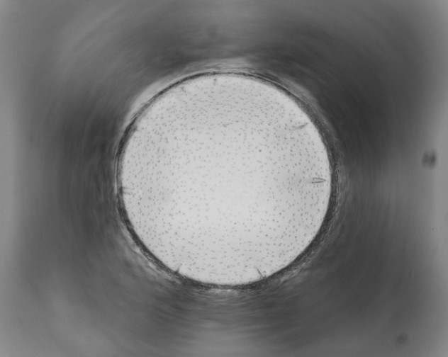 X0000112361176200909241119