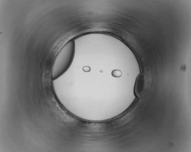 X0000112361177200909241119