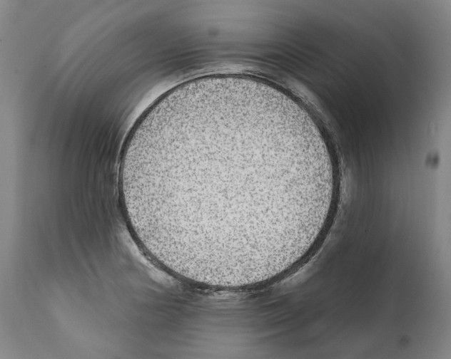 X0000112361178200909241119