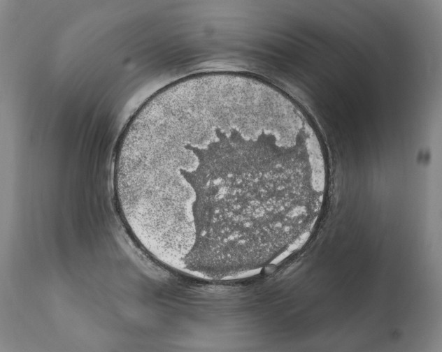 X0000112361179200909241119