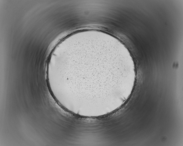 X0000112361180200909241119