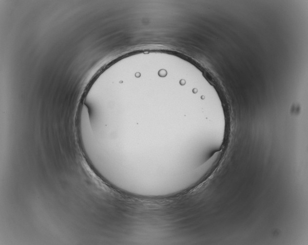 X0000112361181200909241119