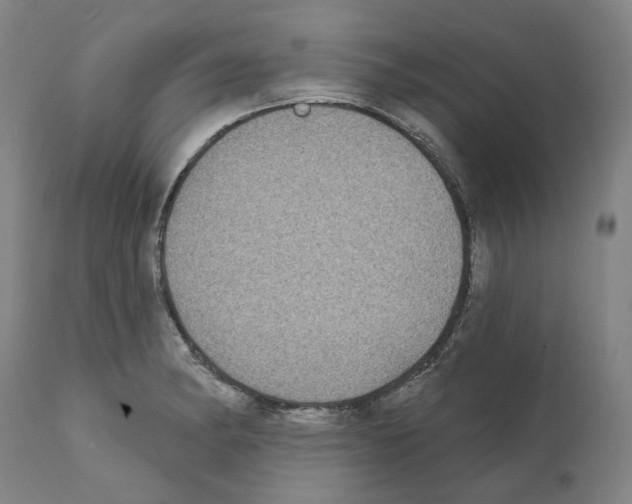 X0000112361182200909241119