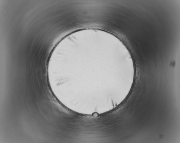 X0000112361184200909241119