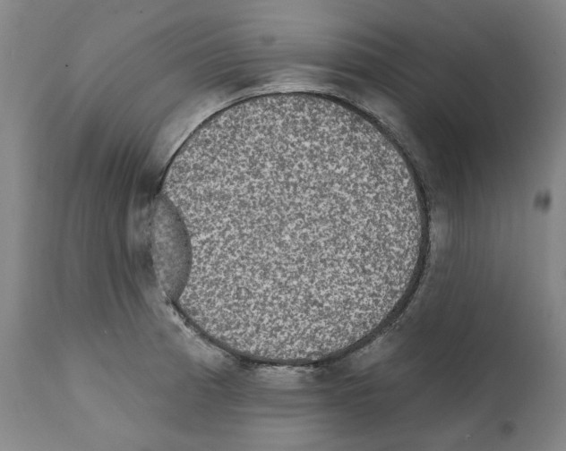 X0000112361185200909241119