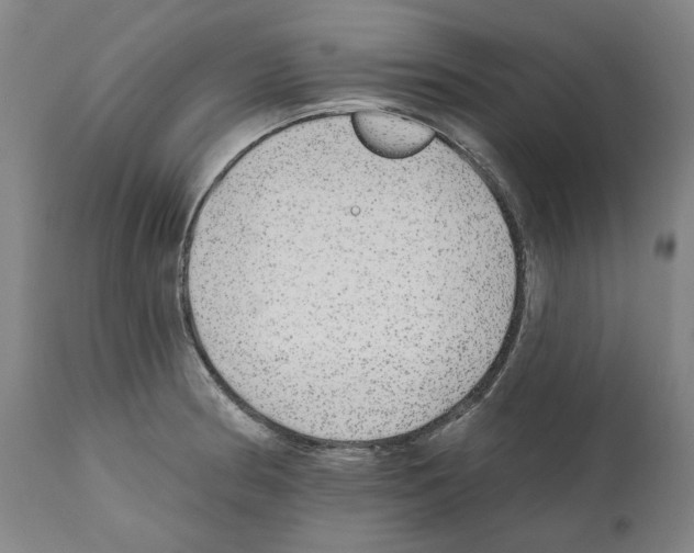 X0000112361186200909241119