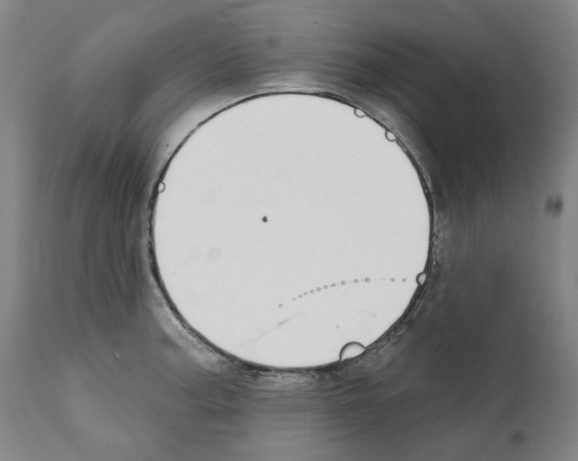 X0000112361187200909241119